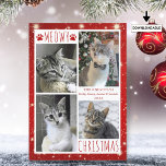 Funny Kat 4 Photo Collage MEOWY CHRISTMAS Red Julkort<br><div class="desc">Ett lustigt Julhälsningar kort för katt med 4 bilder med hälsning MEOWY CHRISTMAS (eller din anpassningsbar hälsning) i modern handskriven typografi som accentueras med katt tass avtryck mot vit och röd bakgrund med ljus och stjärnor. ASSISTANS: Om du vill ha hjälp med designändringar eller anpassning, ändra storlek på färg, flytta...</div>
