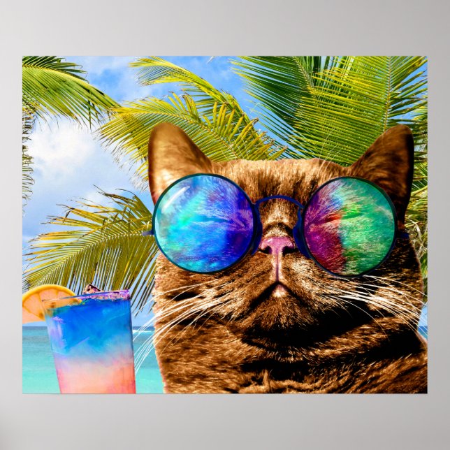 Funny Kat 675 Beach Poster (Framsidan)
