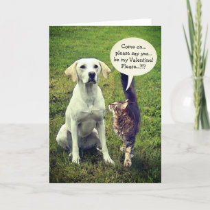 Funny Kat & Hund Valentine (anpassade) Helgkort