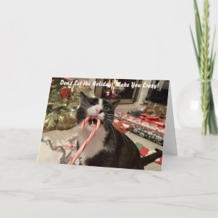 Funny Kat-julkort Helgkort