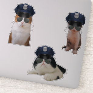 Funny Kat-notor Klistermärken