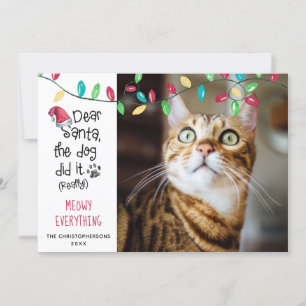 Funny Kat som säger Bright Ljus Photo Julkort