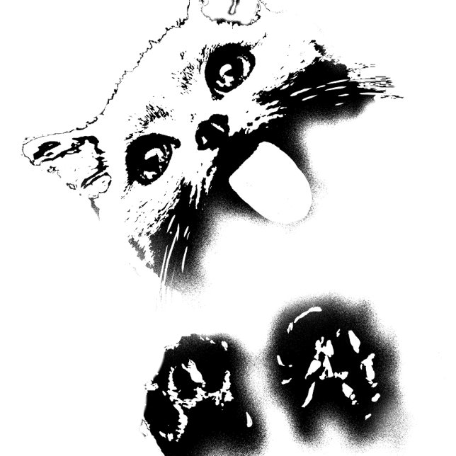 Funny katt t shirt (Skapare uppladdad)