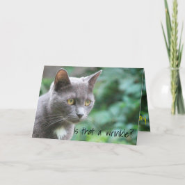 Funny Kattunge Kort