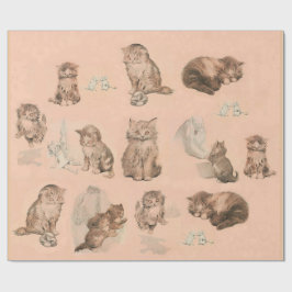 FUNNY KATTUNGE STORIES IN ROSA PRESENTPAPPER