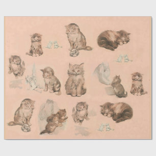 FUNNY KATTUNGE STORIES IN ROSA PRESENTPAPPER