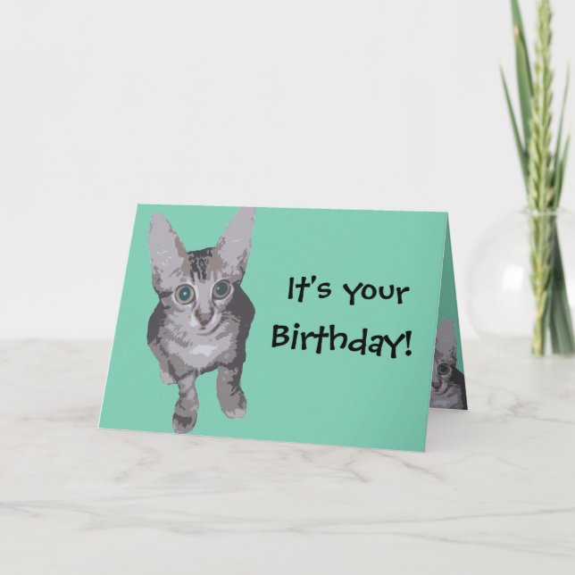 Funny Kitten Birthday Kort (Framsida)