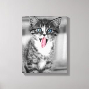 Funny Kitten Canvastryck