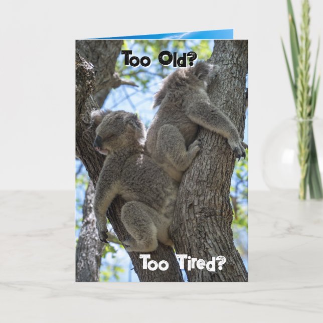 Funny Koala Beach Birthday Card - Let's Party Helgkort (Framsida)
