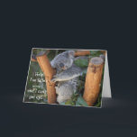 Funny Koala Bear, Belet Birthday Card Kort<br><div class="desc">Lustigt Koala Bear,  Belated Birthday Card inuti: Belated Birthday Önskemål...  Förlåt att jag sov genom din speciella dag!</div>