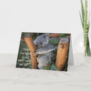Funny Koala Bear, Belet Birthday Card Kort