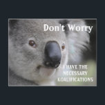 Funny Koala koalifications meme Vykort<br><div class="desc">Funny Koala koalifications meme humor för studenten day</div>