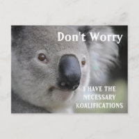 Funny Koala koalifications meme