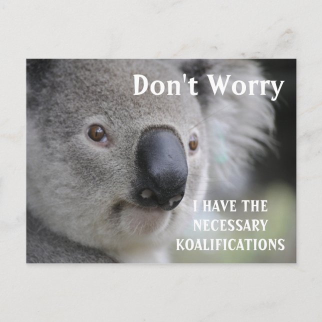 Funny Koala koalifications meme Vykort (Framsida)