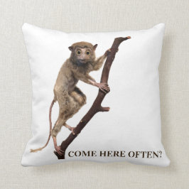 Funny Konstig Taxidermy Monkey Lemur | Big Ögon Kudde