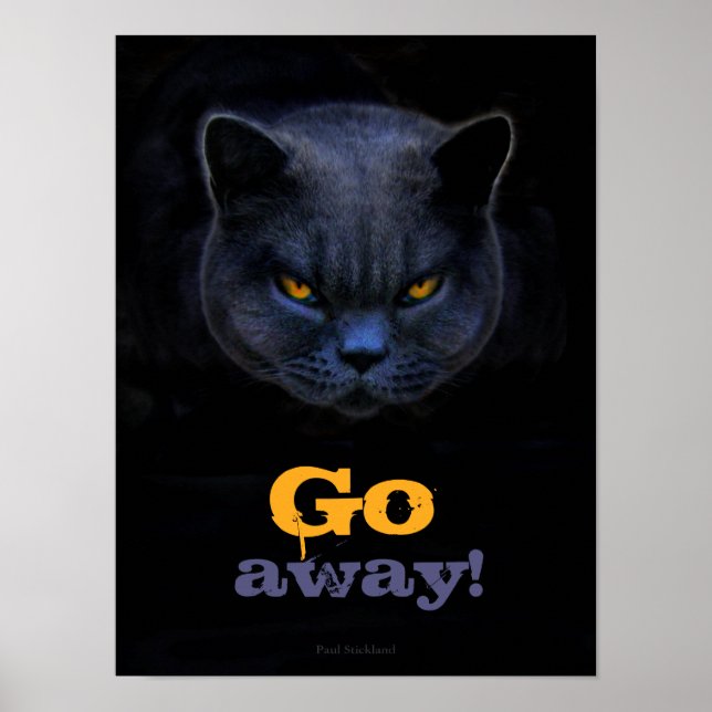 Funny Kor Cat säger Go Away Poster (Framsidan)