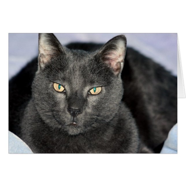 Funny kort (Framsidan Horizontal)