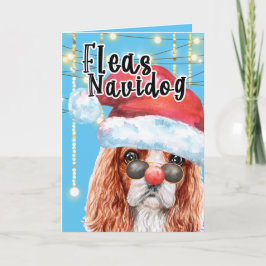 Funny Kung Charles spaniel jul fleas navidog Kort