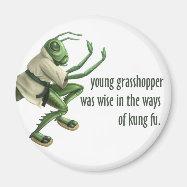 Funny Kung fu Grashopper Magnet (Framsidan)