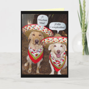 Funny Lab Birthday Card på spanska Kort