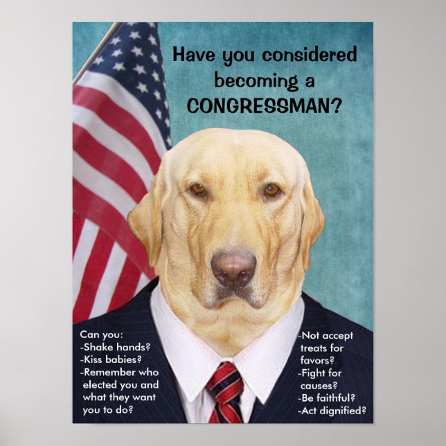 Funny Lab Congressman Poster (Framsidan)