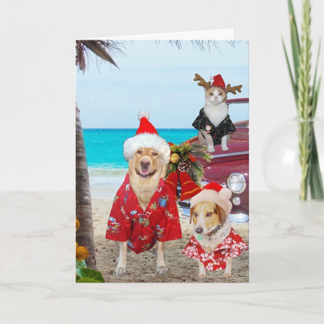 Funny Lab/Hund och Cat Hawaiian/Surfer-jul Helgkort (Framsida)