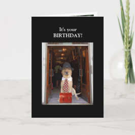 Funny Lab Male Birthday Kort