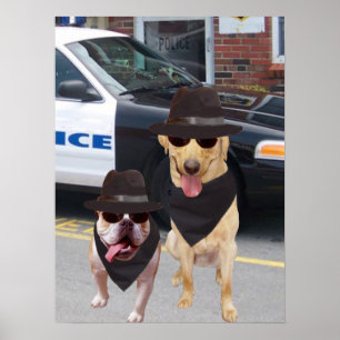 Funny Lab och Bull Dog Poster
