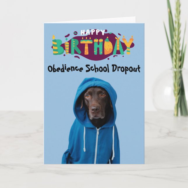Funny Labrador hund-födelsedagskort Kort (Framsida)