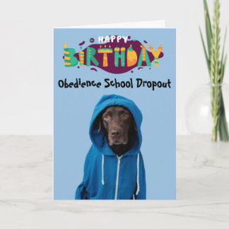 Funny Labrador hund-födelsedagskort Kort