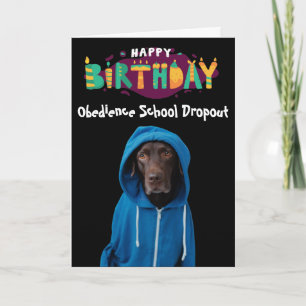 Funny Labrador hund-födelsedagskort Kort