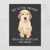 Funny Labrador Retriever Hund älskare Stubborn Pup
