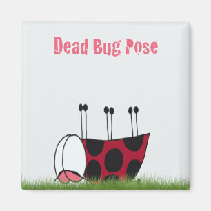 Funny Ladybug Dead Kryp Yoga Pose Magnet