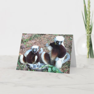Funny Lemur Birthday Kort