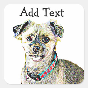 Funny Lhaso Apso eller Shitzu Hund Sticker Persona Fyrkantigt Klistermärke