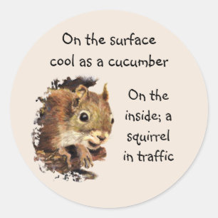 Funny Life Quote Yta Coola Inside Squirrel Runt Klistermärke
