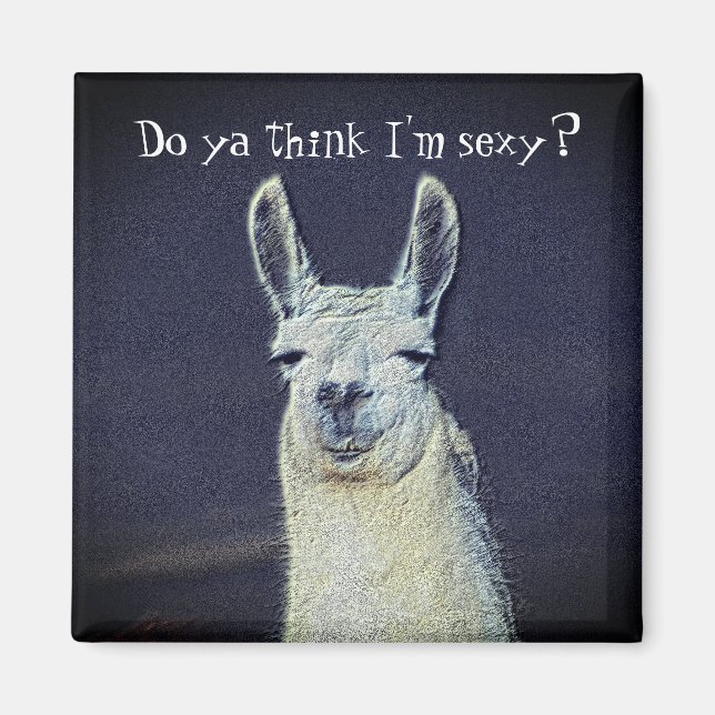 Funny Llama Ansikte Animal  Magnet (Framsidan)