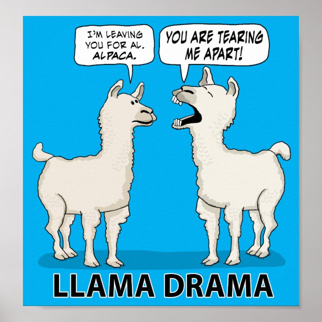 Funny Llama Drama Poster (Framsidan)