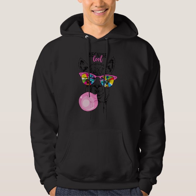 Funny Llama in a rainbow glasses, pink bubble gum  Hoodie (Framsida)