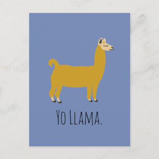 Funny Llama Pun Postcard Vykort