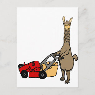 Funny Llama Pushing Gräsmatta Mower Tecknad Vykort