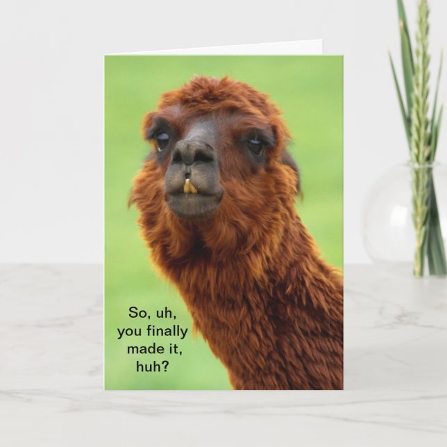 Funny Llama Studenten Card Kort (Framsida)