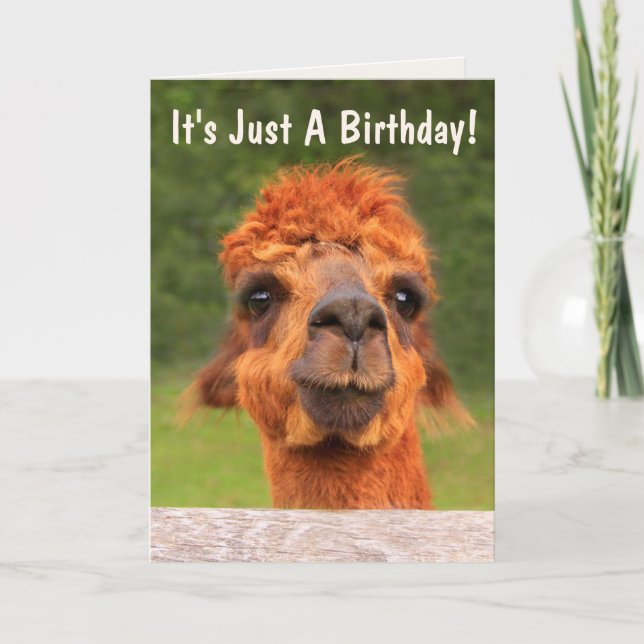 Funny Llama Wise Advice Birthday Kort (Framsida)