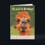 Funny Llama Wise Advice Birthday Kort<br><div class="desc">Någon lite längre ner över en annan födelsedag? Skicka det här söta och underhållande lamakakortet för att hala upp dem! När allt kommer omkring är det bara ytterligare ett år,  och vi blir bara bättre med åldern. Anpassa till dina önskemål och njut. Foton ©Christine Greenspan</div>