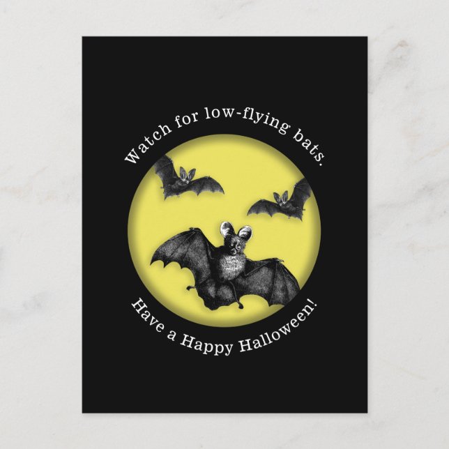Funny Low Flies Fladdermöss Happy halloween Vykort (Framsida)
