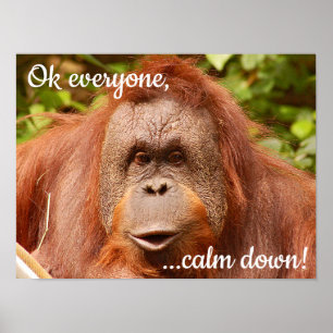 Funny lugn orangutan poster