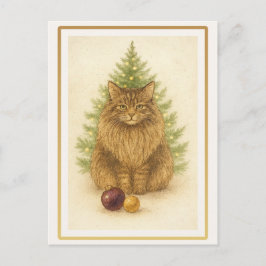 Funny Maine Coon Cat Christmas Postcard Vykort