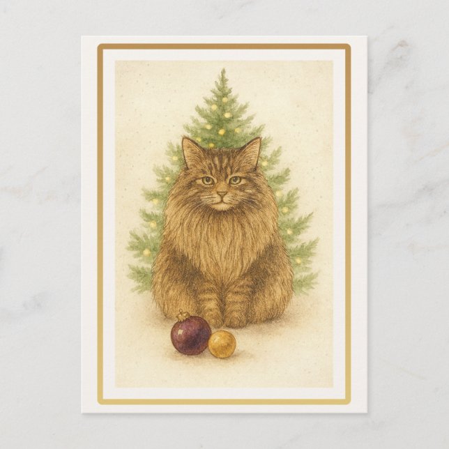 Funny Maine Coon Cat Christmas Postcard Vykort (Framsida)
