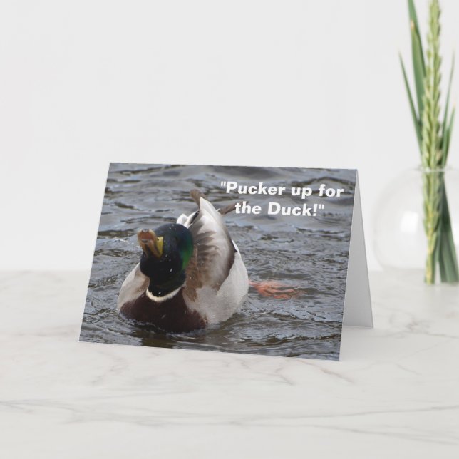 Funny Mallard Duck Birthday Card Kort (Framsida)