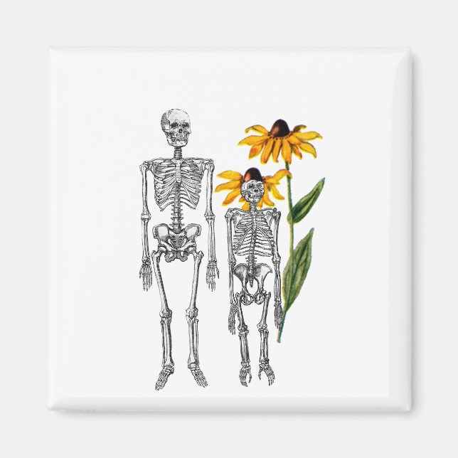 Funny Man Chimpanzee Skeleton Black Eyed Susan Magnet (Framsidan)
